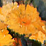 Serie: image 1 0f 15 thumb